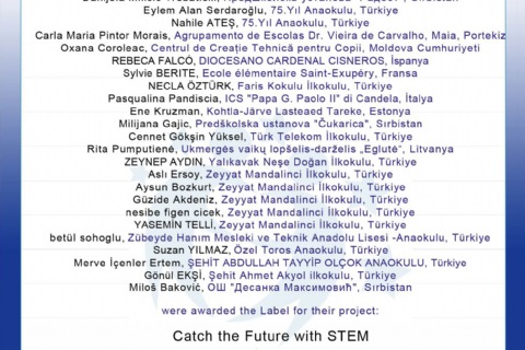 Catch The Future With STEM